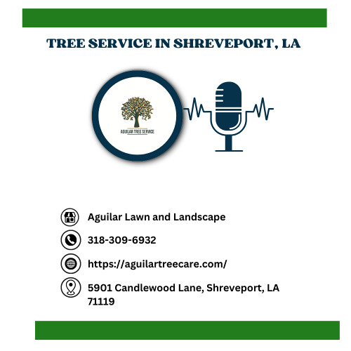 can-tree-roots-damage-sidewalks-driveways-shreveport-la