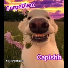 CarpeDiem Capishh