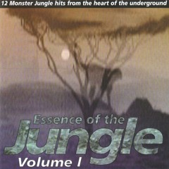 Desert Storm - Elimination