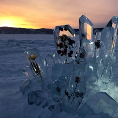 4ever! [ prod .TheSadMusicGuy ]