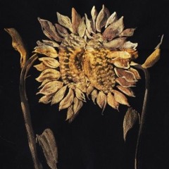 When the World Goes Dark I’ll Still See Only You