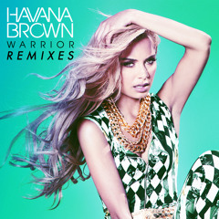 Warrior (Fluke Remix)