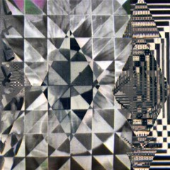 Auspicious Family & Laure Boer - Wayward Symmetry