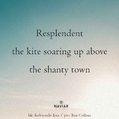 a kite's journey (naviarhaiku569)