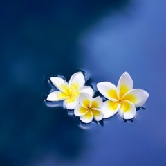 Submersion 040 (24-03-2021)