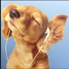 como siempre soñé cover