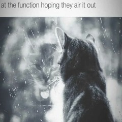 She Fiddlin' My Pickle Freestyle In The Style Of Yhapojj