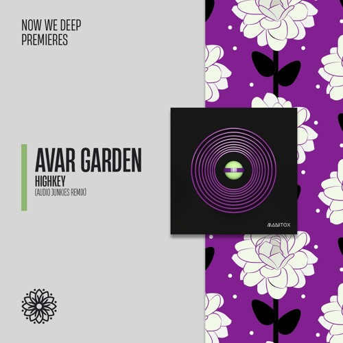 NWD PREMIERE | Avar Garden - Highkey (Audio Junkies Remix) [Manitox]