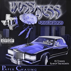 Big Bee (Woss Ness) - Oh Boy Freestyle (BW99 Slowed & Throwed)