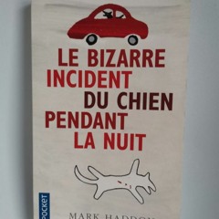 Le Coup de cœur du libraire -  "Le bizarre incident du chien pendant la nuit" de Mark Haddon
