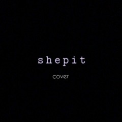 Shepit - Стіни (cover prod. by Hlopchenya)