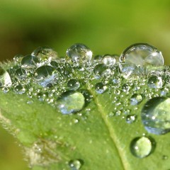 Remind me of Tears💫