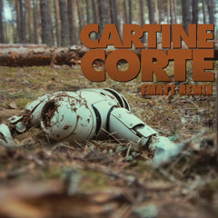 Salmo - CARTINE CORTE (FMatt remix)