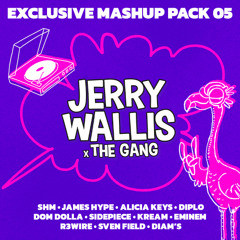 Exclusive Mashup Pack 05