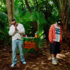 Recibí una solicitud La acepté gratitud Y a mis amigos te agregu ALGORITMO Gabriel EMC & Alex Zurdo