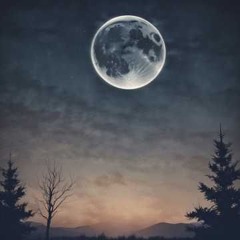 Silver Sun.......