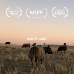 With The Cattle - OST