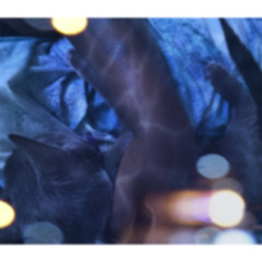 sweetheart to u, let's bring her backstage