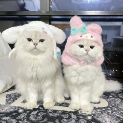 GIAI ĐIỆU TÌNH "SUY" #38 | Cớ sao ông trời, lấy đi cả thế giới.. Hay là | Playlist Rap Melodic