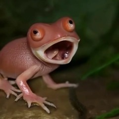 Zhjeeoum