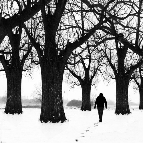 Poisonoise Music - Beauty Sleep Mix 022 (Dub Techno / Deep Techno)