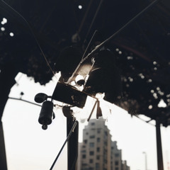 WHYHEFLEXING? p. robertodle [ALL PLATS]