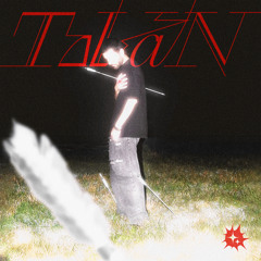 Tavan