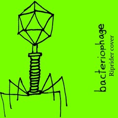 Bactiriophage - Riprider Cover