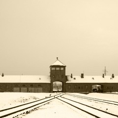 The Nazi Experiment, Vol. 2: Hitler's Nazi Race Ideology