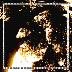 The tree