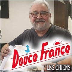 DOUCE FRANCE : LES CHIENS
