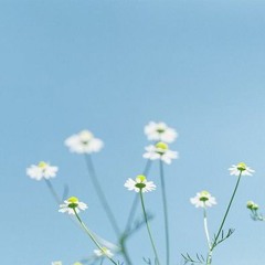 Em Nhiệt Tình Như Lửa, Anh Lạnh Giá Như Băng Remix