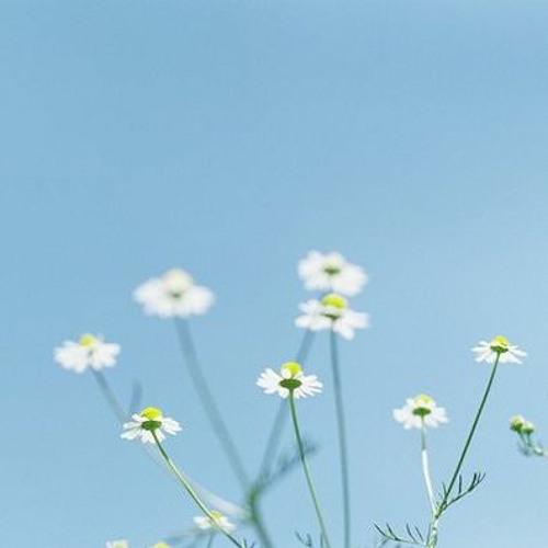 Em Nhiệt Tình Như Lửa, Anh Lạnh Giá Như Băng Remix