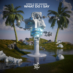 DJSM, Jay Mason - What Do I Say