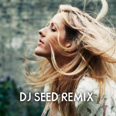 Ellie Goulding - Lights (DJ SEED REMIX)