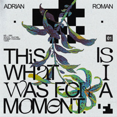 PREMIERE: Adrian Roman - TAGDI (They Are Gonna Do It) (Original Mix) [microCastle]