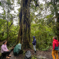 010725 / Play Flora / Alain, Florian y Connie / ANP PNYCH_Binaural