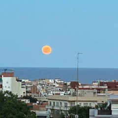 Moon Mix