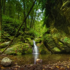 PHIL COLLINS ▶ You Can't Hurry Love ★ I Cannot Believe It's True ★ MAROON 5 ▶ Wake Up Call