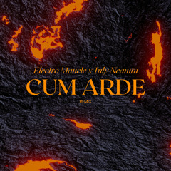 IULY NEAMTU - Cum arde (Electromanele REMIX)
