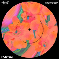 SIR.kill. - PET808