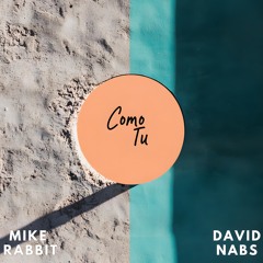 Mike Rabbit & David Nabs - Como Tu (Extended Mix)