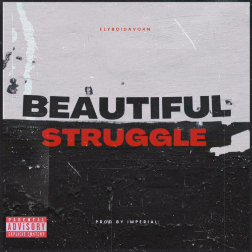 FlyboiDavohn - Beautiful Struggle (Prod by Imperial)