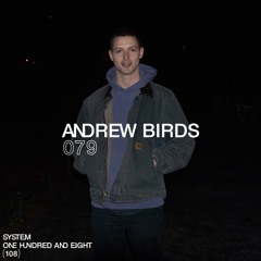 SYSTEM108 PODCAST 079: ANDREW BIRDS