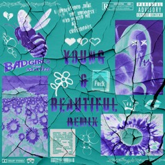 YOUNG & BEAUTIFUL - ZerO (Remix)