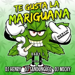 Te Gusta La Marihuana - (Prod. By Dj Henry Ft. Dj Sandungueo & Dj Micky)