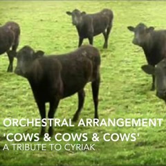 Cyriak 'Cows & Cows & Cows' Orchestral Arrangement