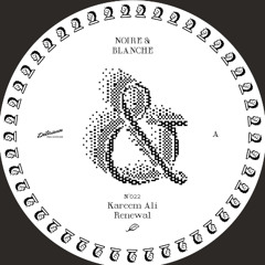 Premiere: Kareem Ali 'Feel Everything, All At Once'