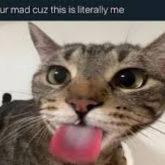 ur mad cuz this is literally me