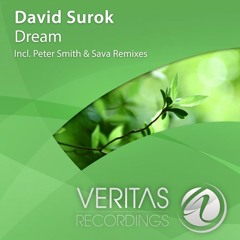 David Surok - Dream (Peter Smith Remix)
